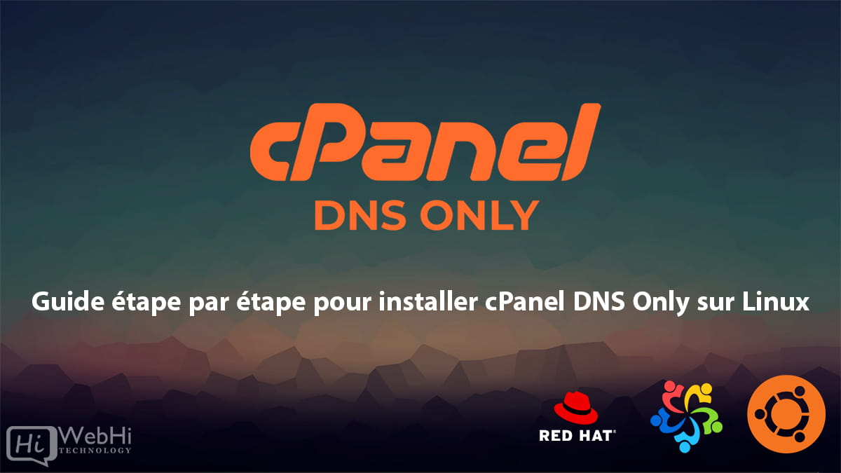 Guide d'installation cPanel DNS Only Linux cPanel DNS Only Ubuntu cPanel DNS Only AlmaLinux cPanel DNS Only RHEL