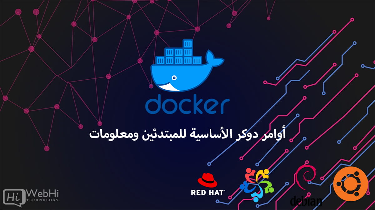 أوامر دوكر للمبتدئين صور حاويات شبكات مجلدات Docker Compose